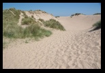Balmedie Beach -30-05-2014 - Bogdan Balaban